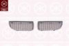 KLOKKERHOLM 0062991A1 Radiator Grille